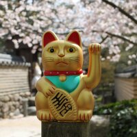 Lucky cat - Maneki Neko - Waving cat - 15 cm - gold (frosted)