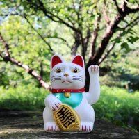 Glückskatze - Maneki-neko - Winkekatze - 15 cm - weiß