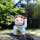 Glückskatze - Maneki-neko - Winkekatze - 15 cm - weiß